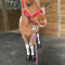 |Mini Boots on Pony