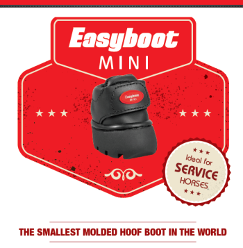 |Easyboot MINI smallest hoof boot in the world