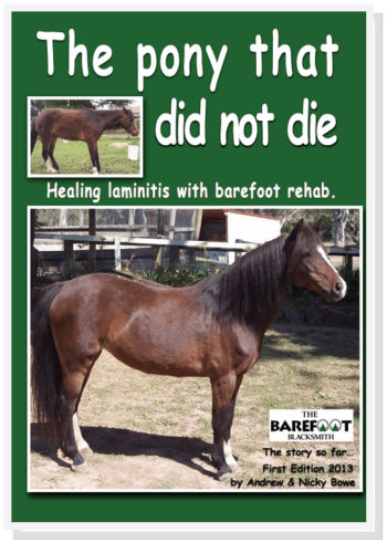 The Pony that Didn't Die Laminitis Text|
