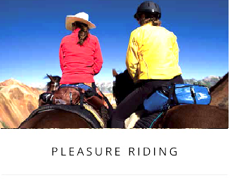 pleasure riding category link